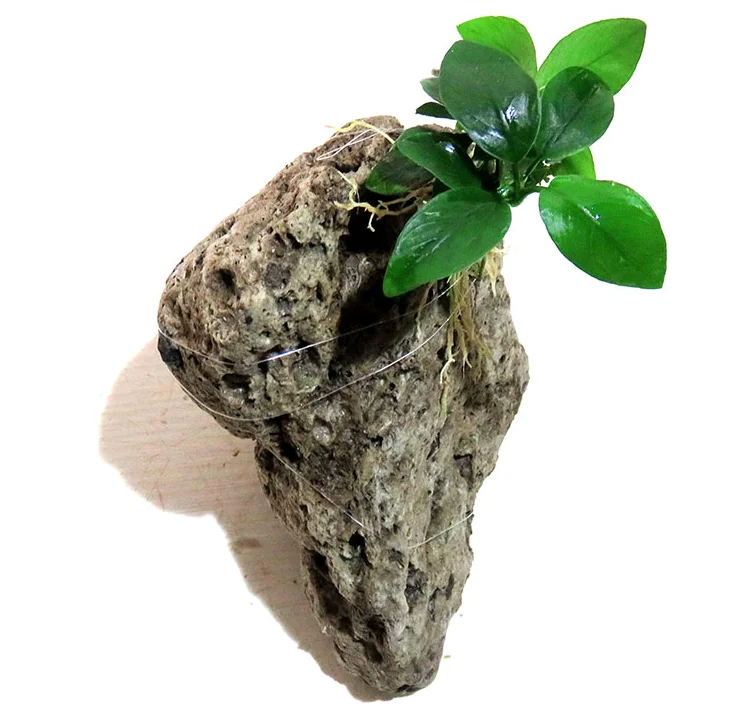 
Black Aquarium Basalt Lava Rock For Sale 
