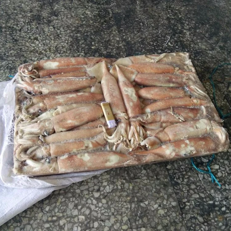 
2021 New season frozen Todarodes Pacificus Squid 