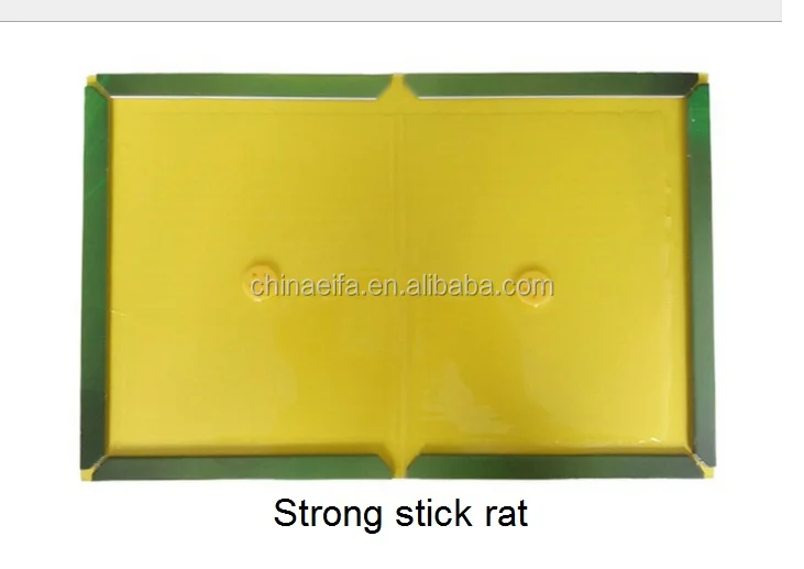 
Good reputation high quality mouse rat sticky mice glue board trap for stick mice 
