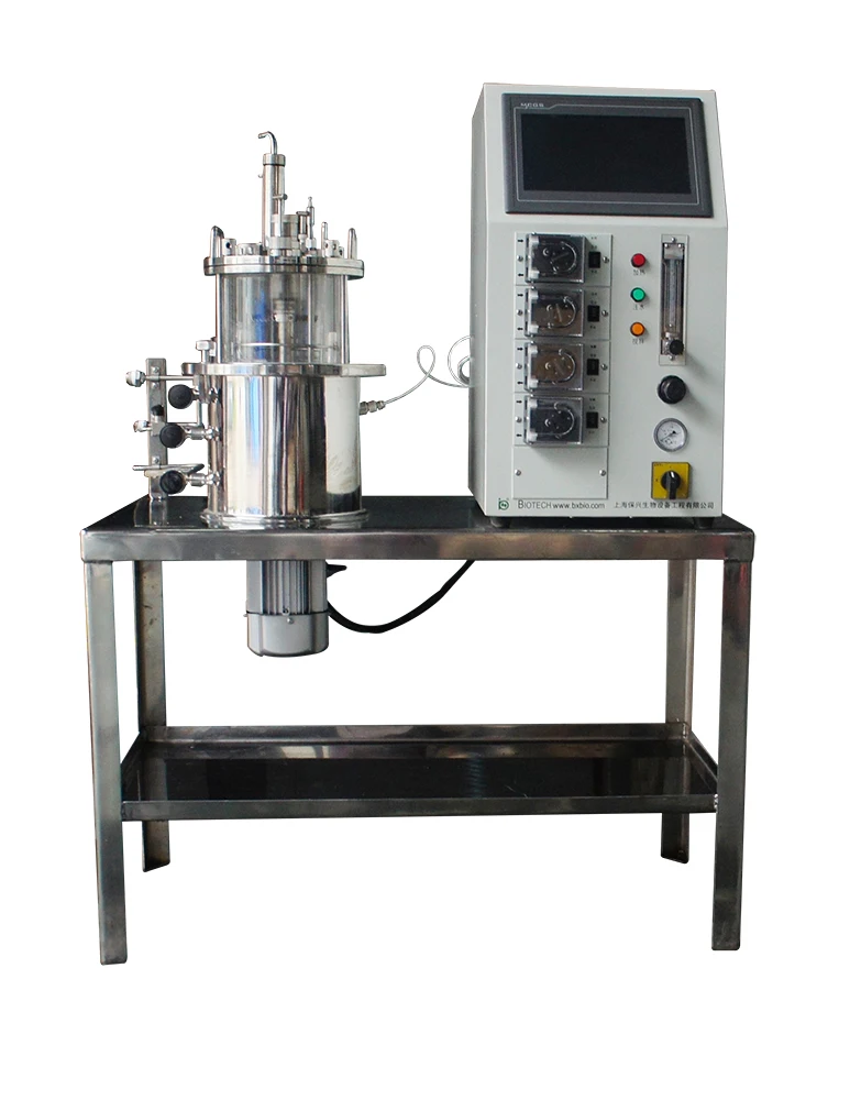 
lab microbial culture fusarium sambucinum fermentor bioreactor 