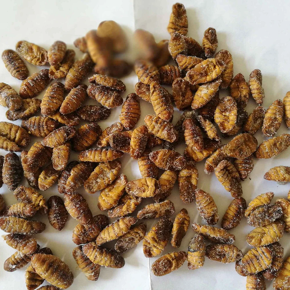 Hot sale delicious dry IQF frozen silkworm