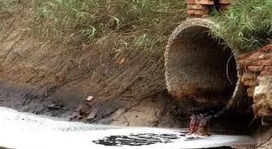 
Organic filter aid industry water treatment cellulose filtration 