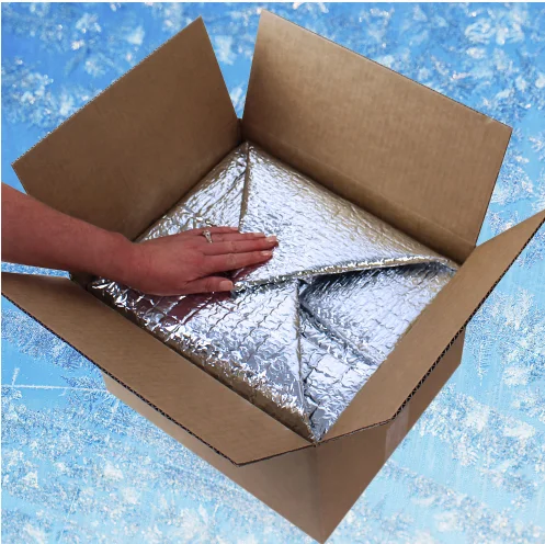 Custom Large Size Thermal Insulation Cooler Liner Box For Shipping Fresh Fruit or Lunch Food