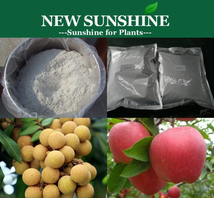 Plant Growth Regulator Paclobutrazol Price Paclobutrazol 25% SC Liquid 15% WP 95% TC