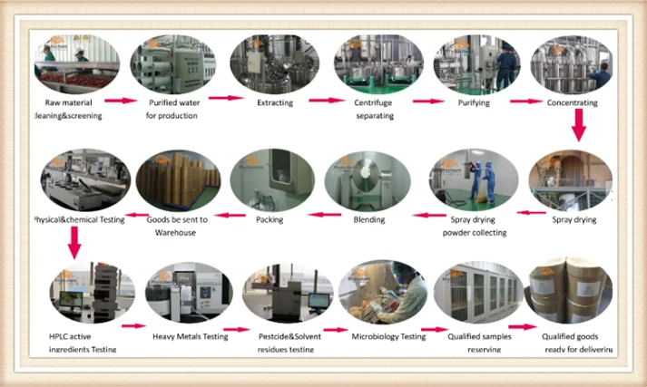 wholesale herbal extract from kava root reducing stress kava extract powder