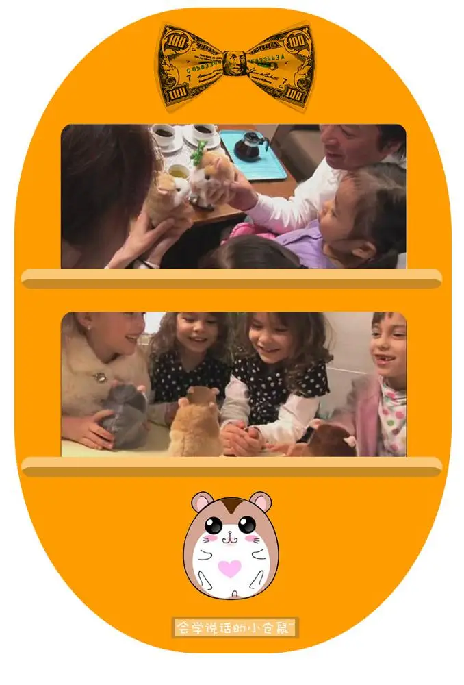 
ready to ship 15cm Plush Talking Hamster stuffed Mouse Toy 