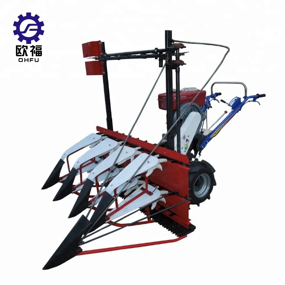 Large automatic 55hp 4wd  tractor prices/alfalfa cutter