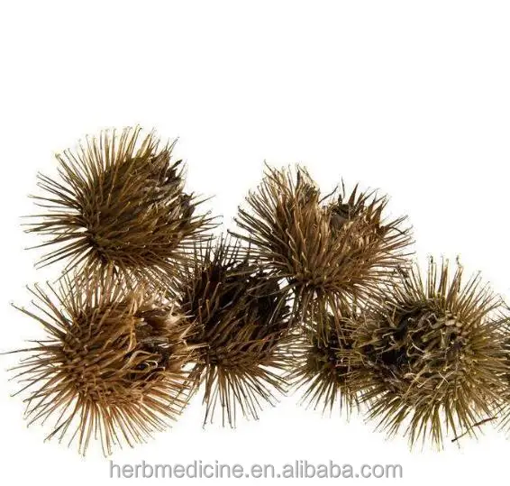 Shui fei ji высокое качество Китай сушеные полностью Горячая Распродажа Семена расторопши