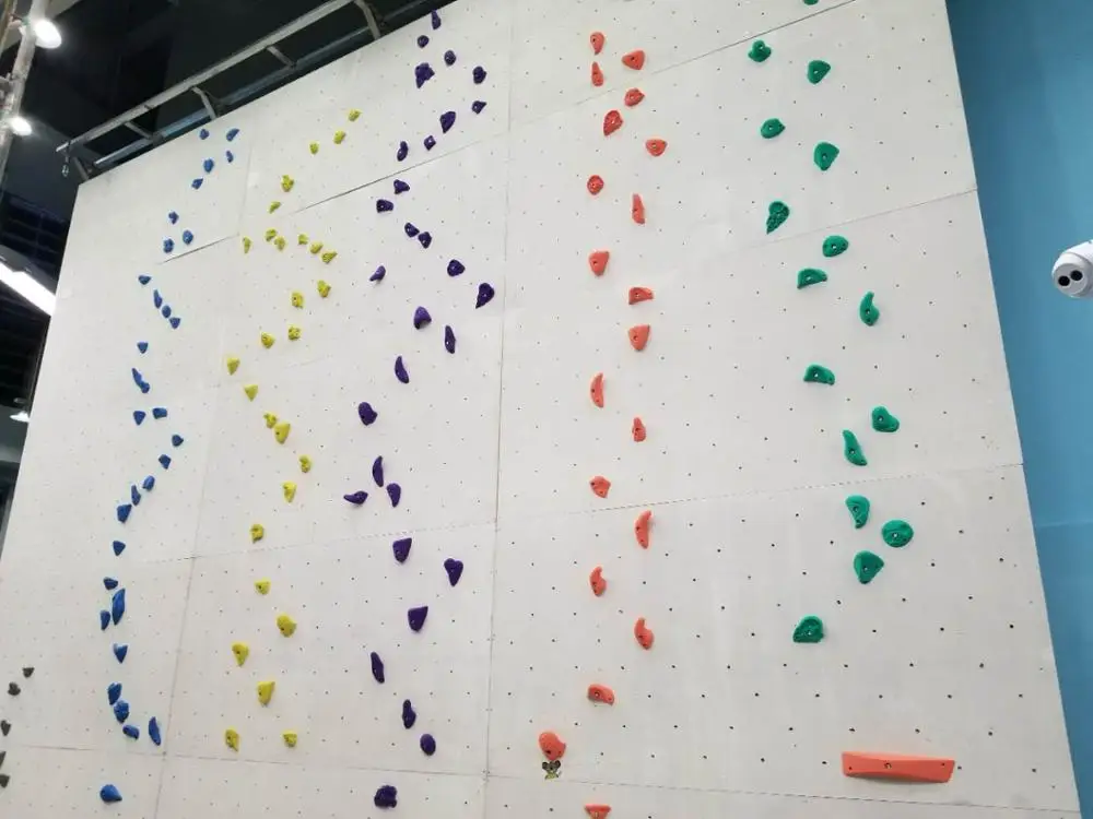 Gecko king L size rock climbing holds for community