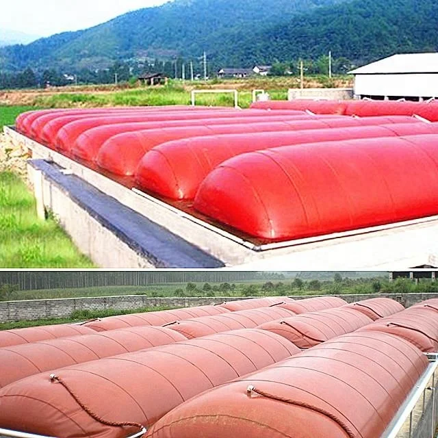 
Anaerobic fermentation bio digester small biogas plant project system 