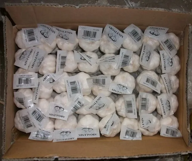 
fresh white garlic 