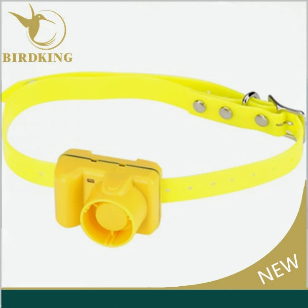 hunting pet training Dog callers beeper collar