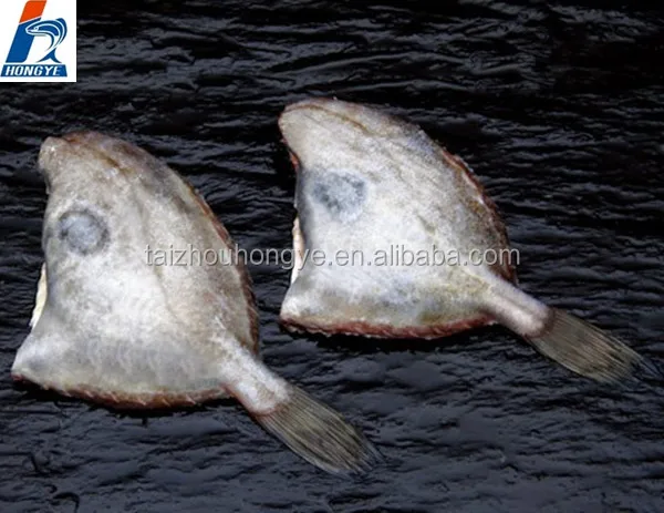 
frozen john dory fillet/HG/HGT 