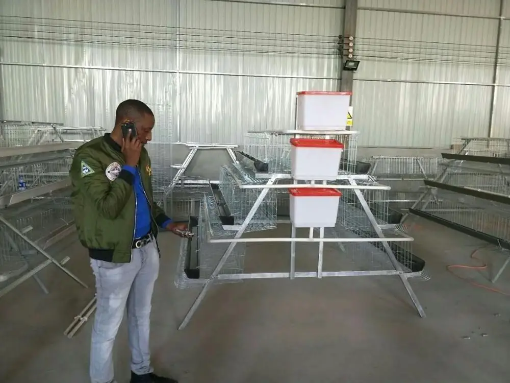 factory directly price boiler cages,animal cage/bird breeding cages/layer cages,chicken cage   (lydia whatsapp: +8615965977837