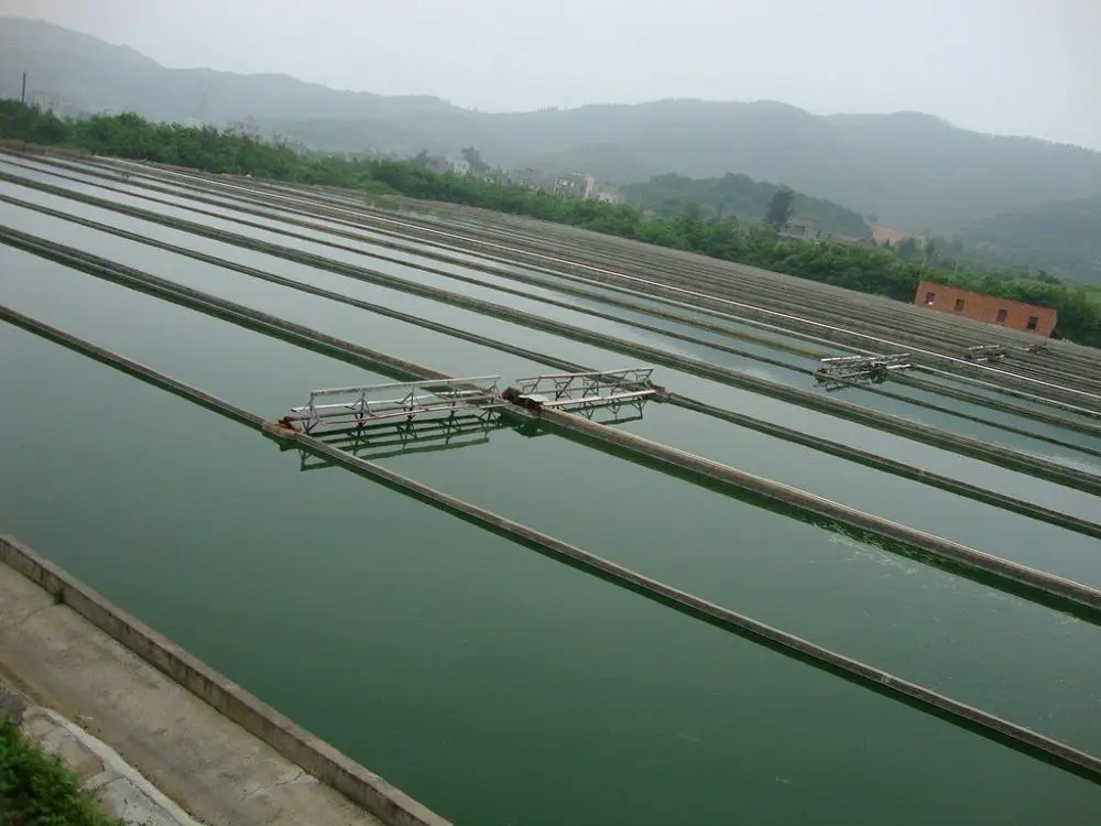 
bulk superfood producers natrual organic spirulina powder 