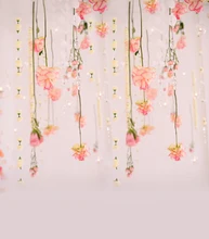 3X4ft free shipping vinyl cloth photography backdrops newborn computer Printing background for photo studio cm6714