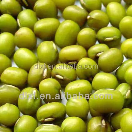 
green mung beans bright green 3.6mm size bean for food 