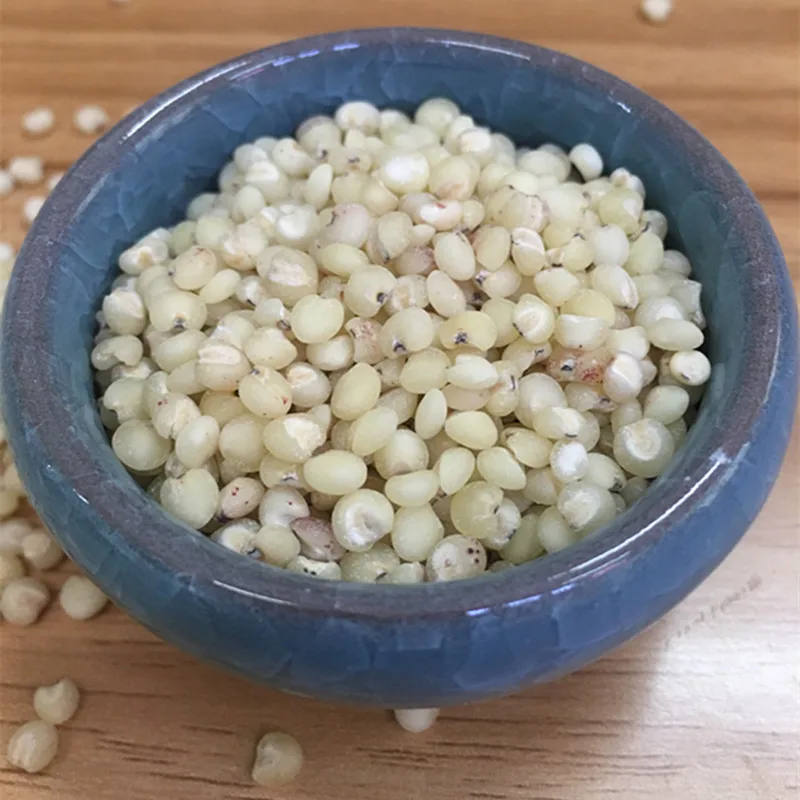 
Sweet Sorghum Seed for Sale 