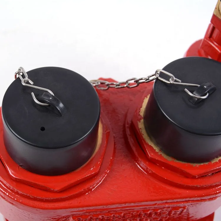 100 mm flange outlet fire hydrant 2 way breeching water inlet valve