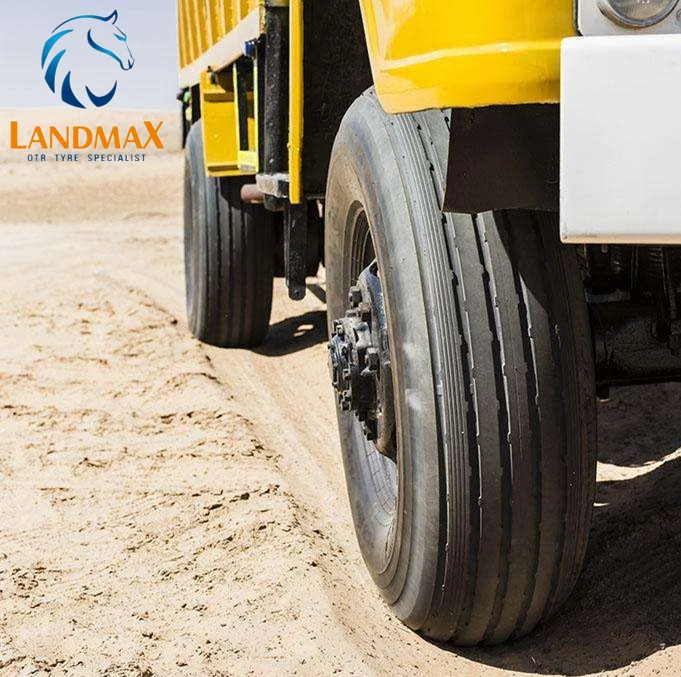 
Landmax LMBT168 All Position Radial Truck Tire 9.00R20 