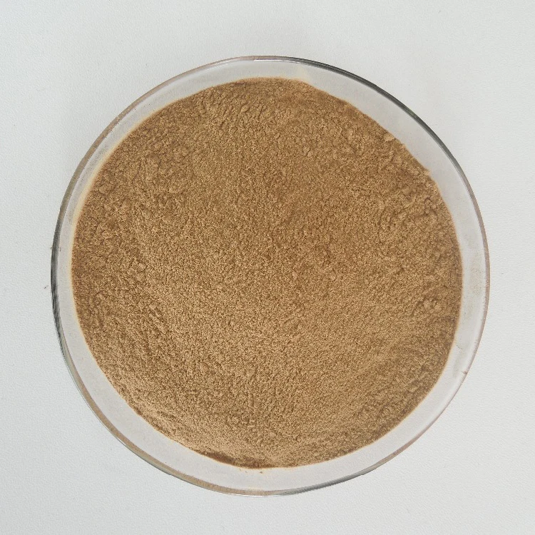 
Best Selling Pure EU Organic Dandelion Root Extract Powder 