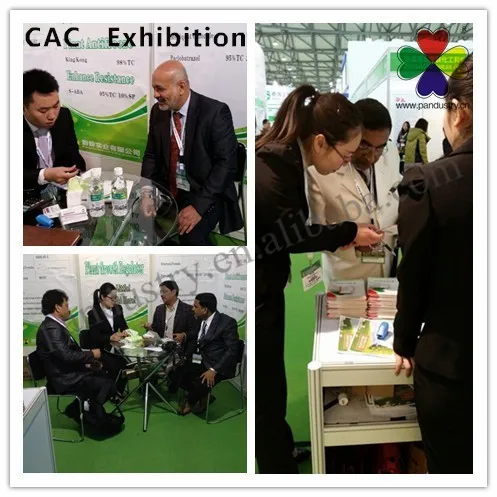 
Agrochemical Pesticides Tebuconazole Fungicide 25% EC Prices 