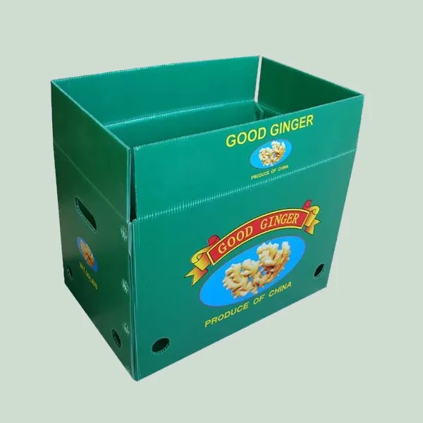 Corrugated plastic storage box for vegetable and fruit
