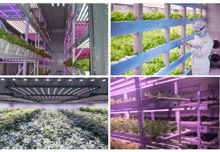 Dismountable Hydroponic Systems Grow Box for Indoor Vertical Garden Farming