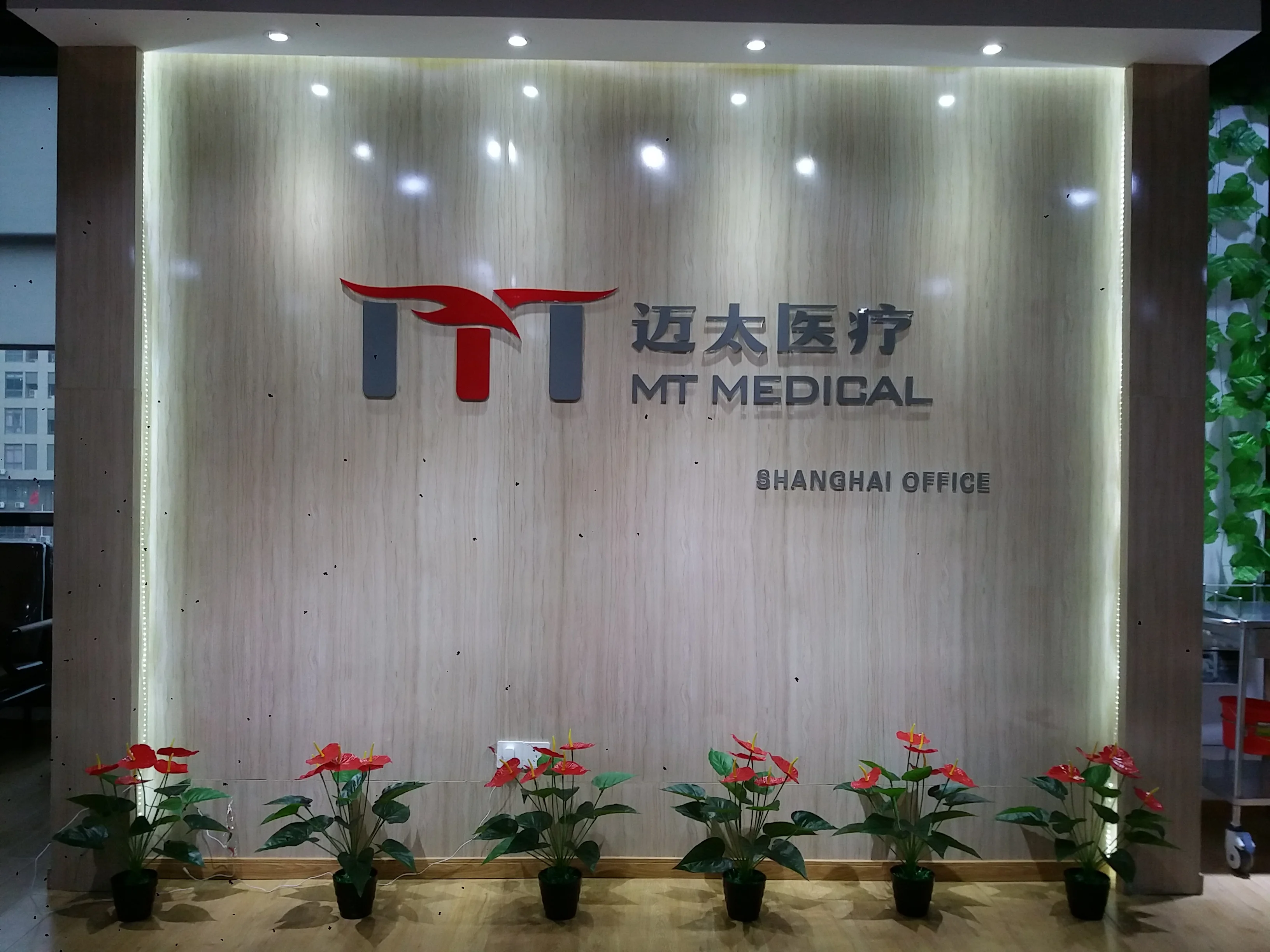 Hospital shadowless Portable Mobile Floor Standing surgical operating lamp