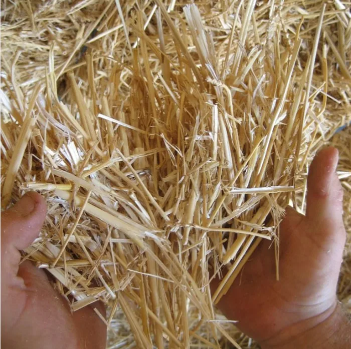 mix of alfalfa and wheat straw