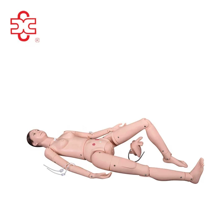 XC-401C Xincheng Scientific First Aid Manikins