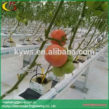 Hydroponic gutter for strawberry tomato pepper hydroponic trough for greenhouse