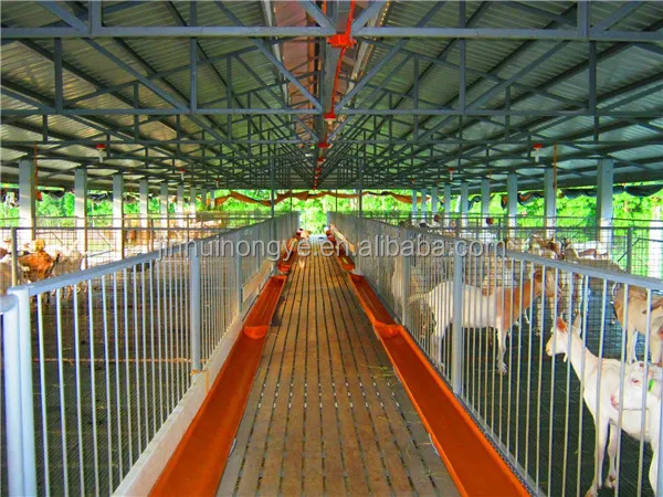 Chicken broiler farm house design chicken farm shed building