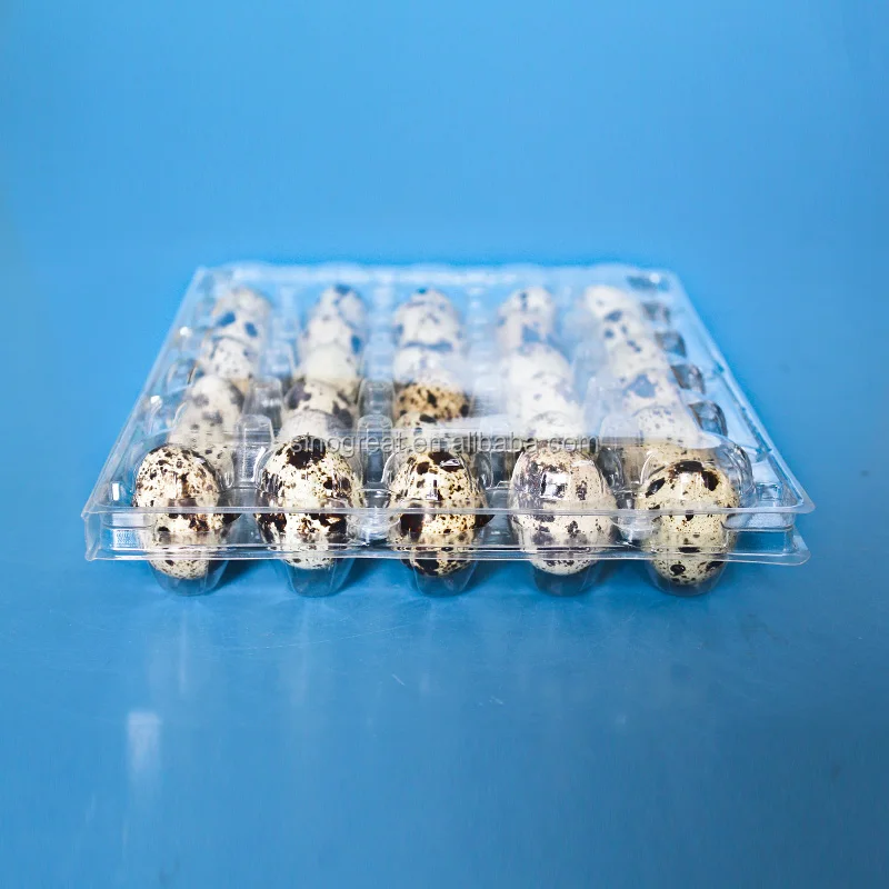 Plastic Quail Egg Packaging plastic disposable egg packing tray