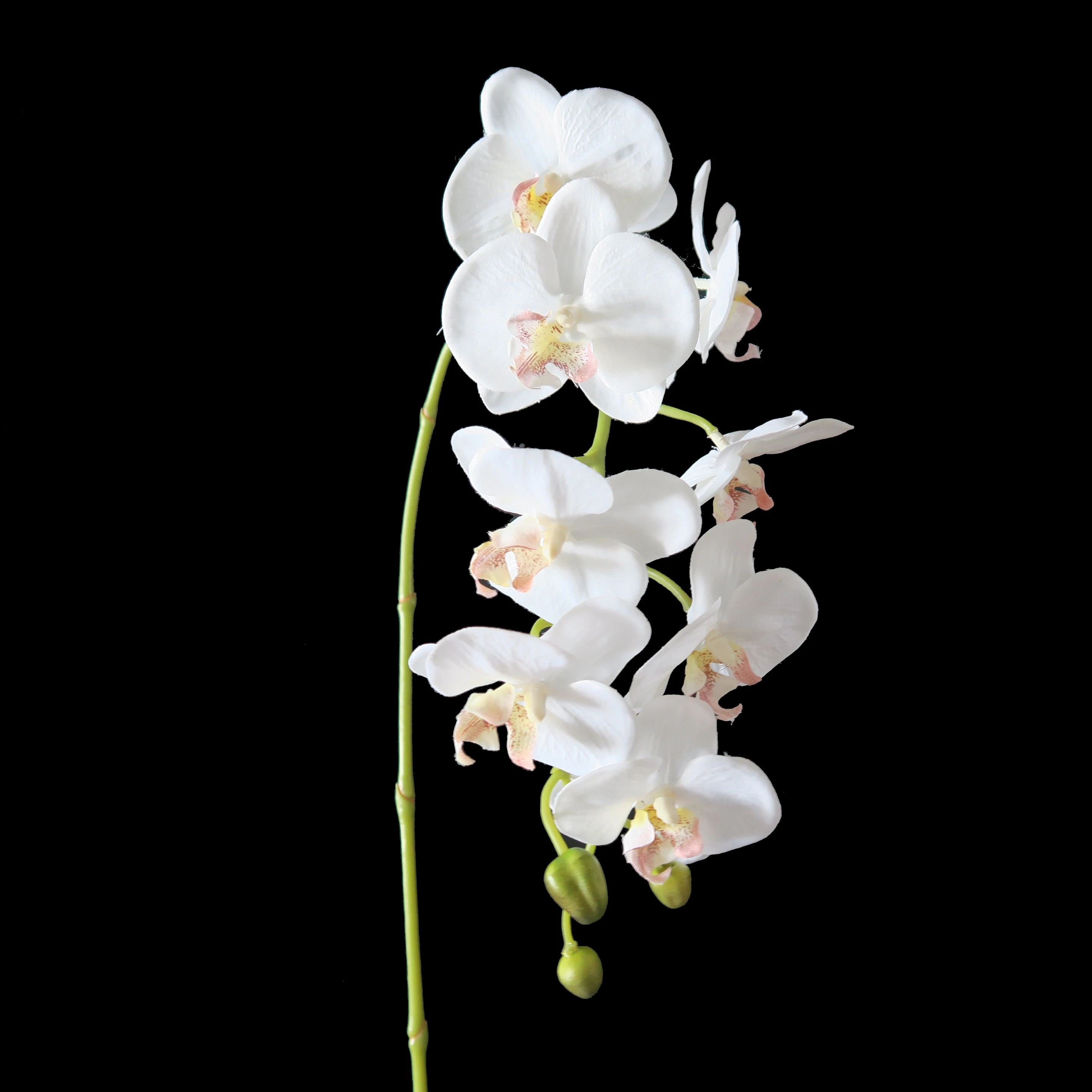 High quality polyester Silk Orchid for home decoration