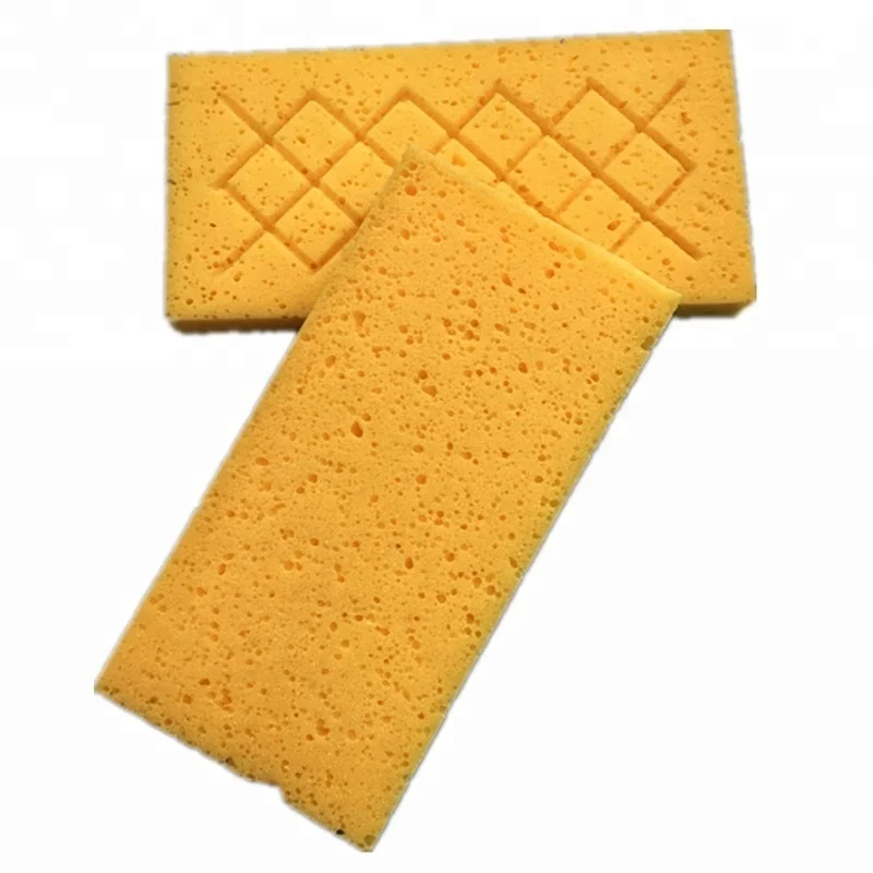 Губка для очистки водорослей 8