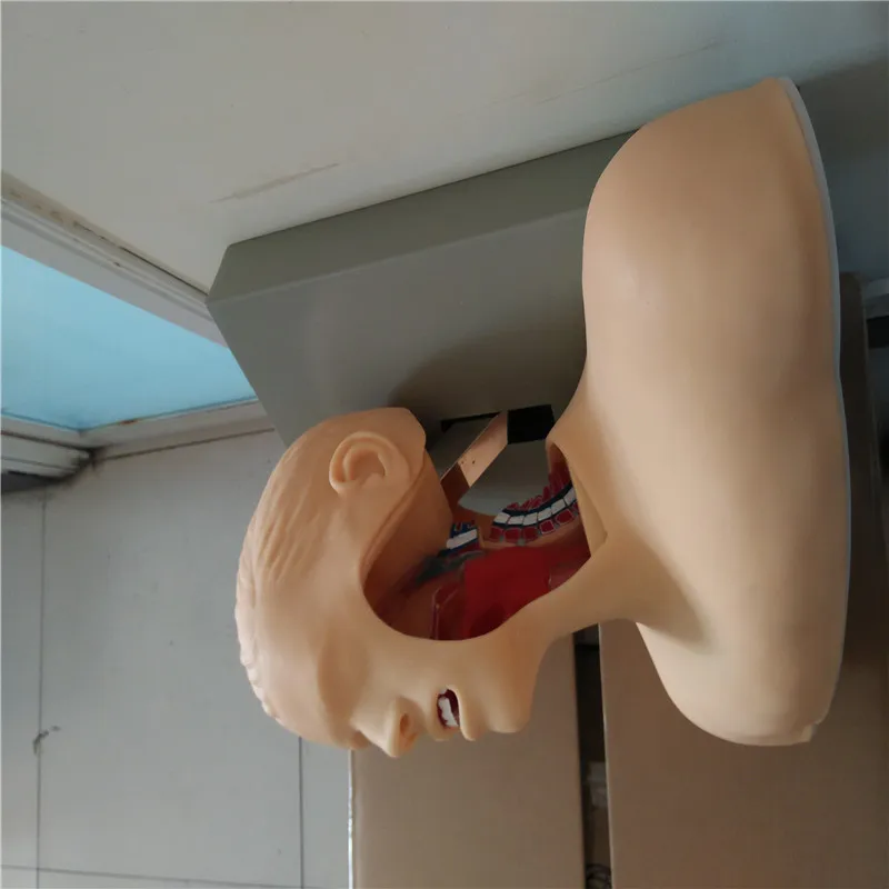 intubation with alarm device airway intubation school teaching training model manikin