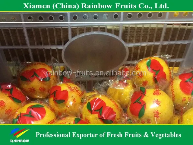 
fresh citrus/fresh mandarin/chinese lokam/honey mandarin 
