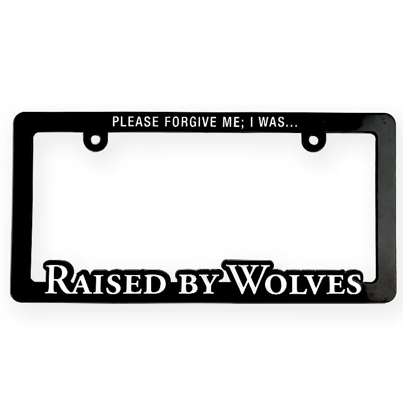 Рамка номерного знака 31X16 см для автомобиля, пластиковая рамка номерного знака, рамка номерного знака для автомобиля, оптовая продажа