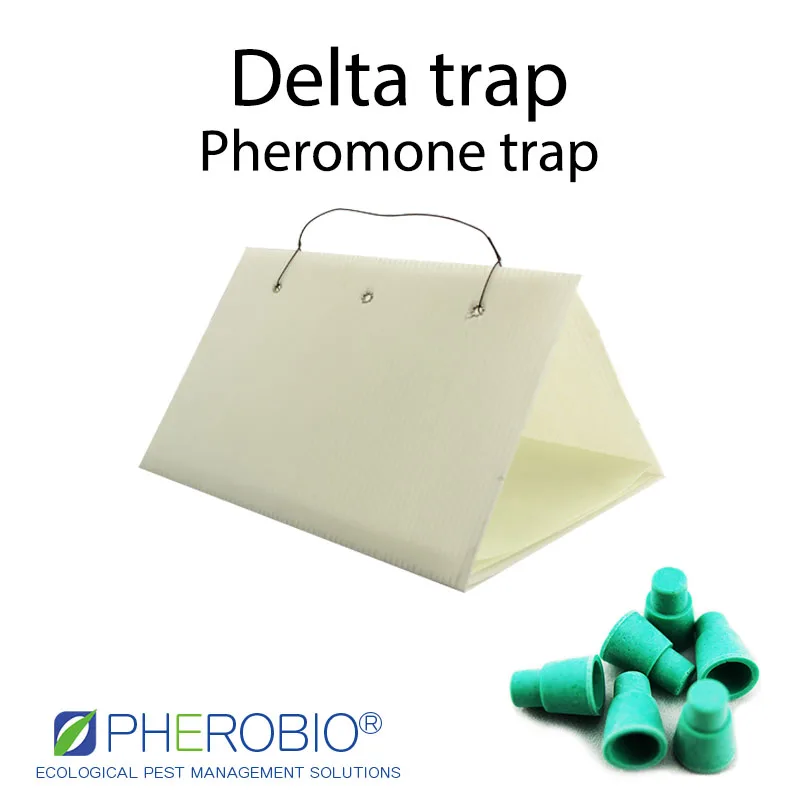  Летняя приманка для фруктов Tortrix Adoxophyes Orana pheromone