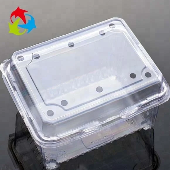 
Disposable food grade fruit blister packaging tray plastic clamshell high quality sell well container 