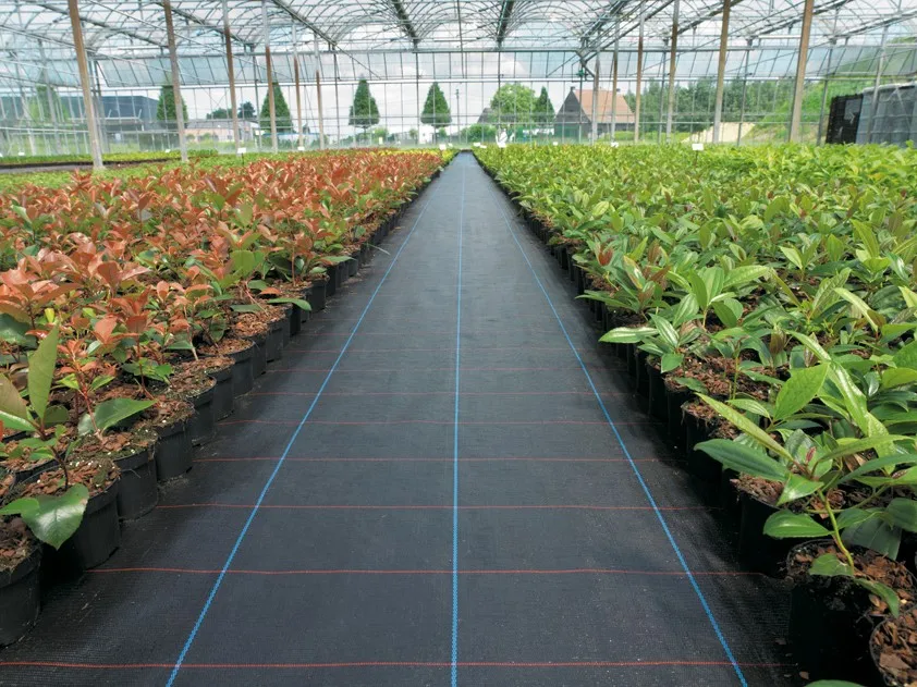 High Quality Ground Cloth Weed Control Fabric