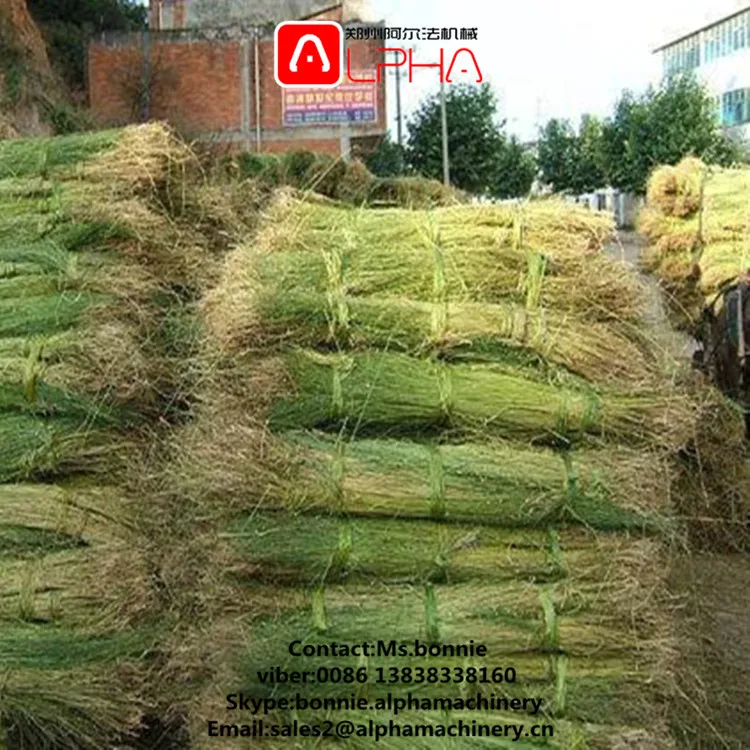 Простой в обращении рами декортикация Обрабатывающее Оборудование сизальских канатов ананаса Волокно Льняное волокно Decorticator обстрел