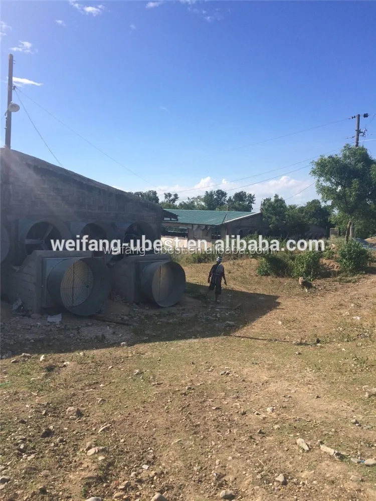 Philippine Automatic Tunnel Low Price Control Broiler System Ventilation Chicken Poultry Shed House