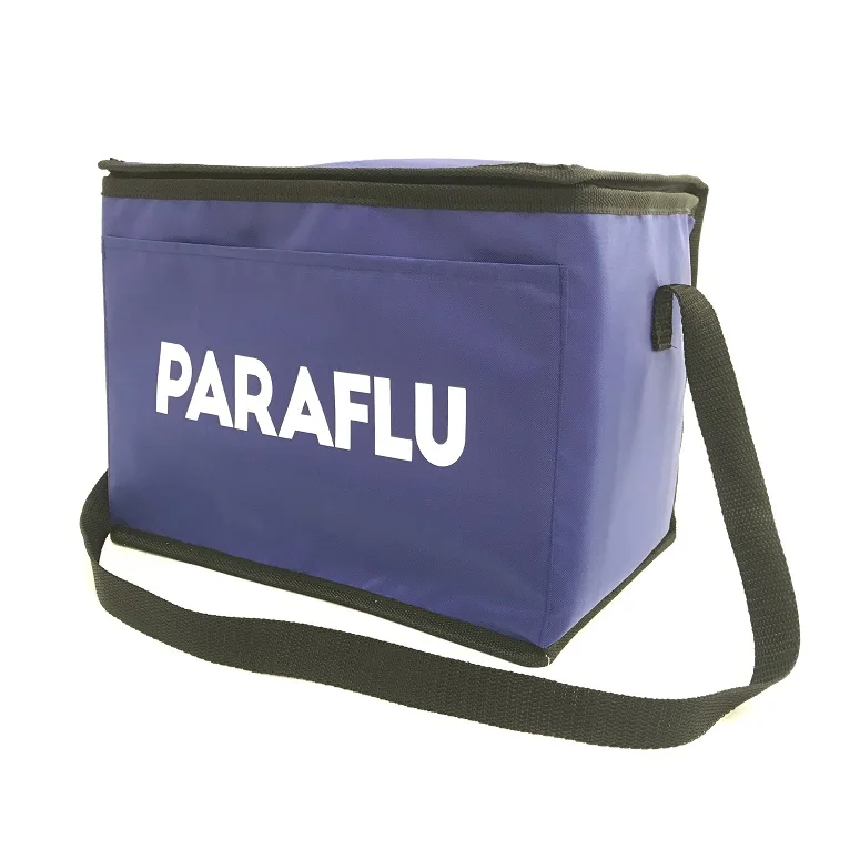 China Zipper Disposable Food Divider Satchel Plastic Car Ice insulated lunch Cooler Bag