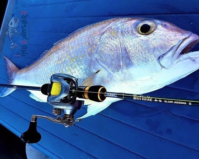 Wholesale Slow Jigging Rod Carbon Fishing Rod for Saltwater 1.96m