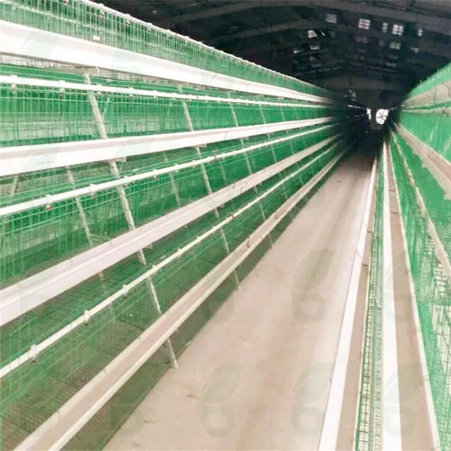  Хорошая цена 4 яруса куриная Батарейная клетка для кур-несушек используемые птицеводства оборудование