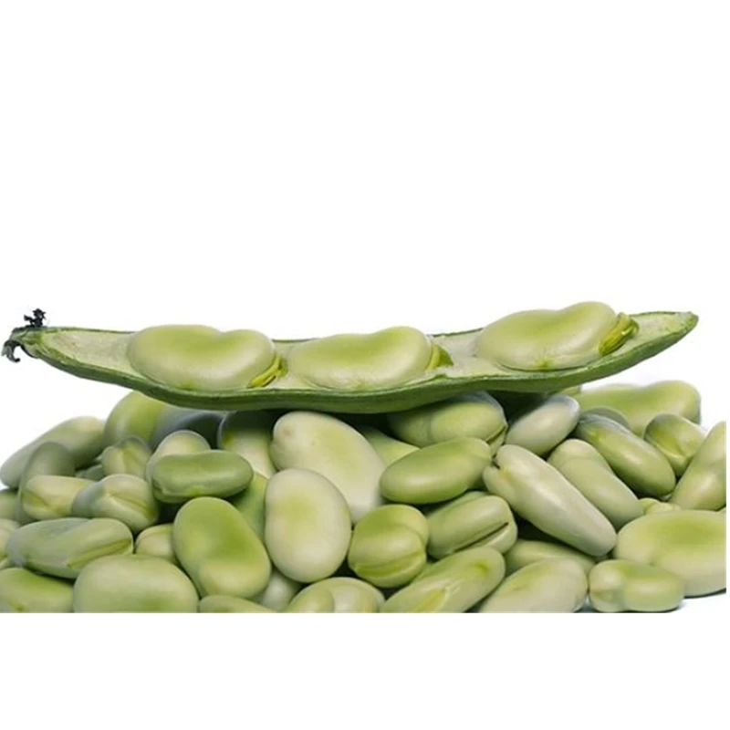 
Wholesale grade best organic frozen peeled broad bean 
