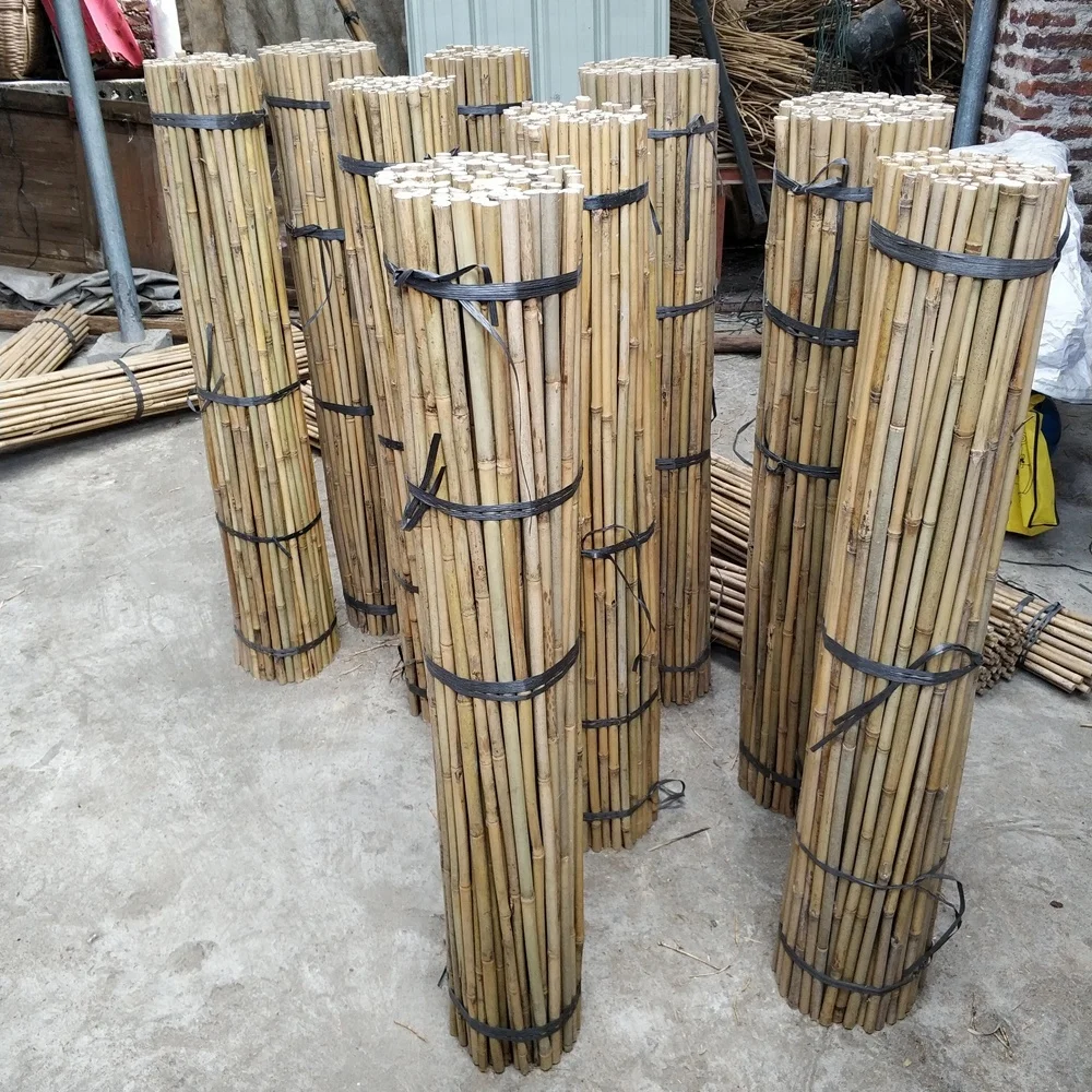 bamboo canes for gardening  305CM 24-26MM
