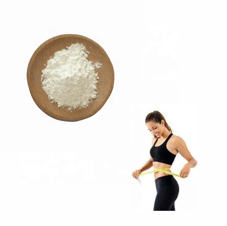 Halal Certified Garcinia Cambogia Dry Extract 60% HCA Powder